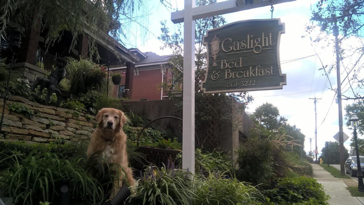 Gaslight Bed & Breakfast Cincinnati Exterior photo
